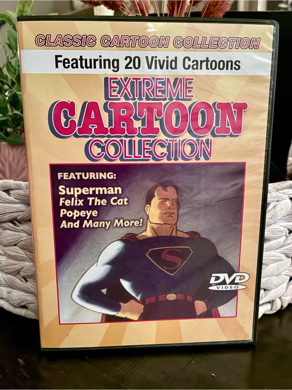 Extreme Cartoon Collection DVD by PC Treasures